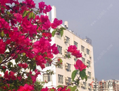 社科院：预计2019年中国经济增长6.4%左右