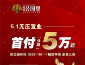 *美初夏丨走进蓝楹花开的地方，住进蓝花楹的世界