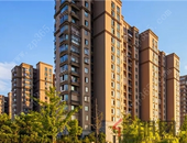 龙岗半岛楼市超级新秀花落谁家?