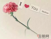 花Young母亲节，不能只有我一个人知道