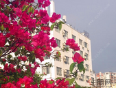 广西房屋买卖租赁抵押均需网签备案 防"一房二卖"