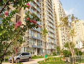 探讨房地产税:要开征房地产税 宅地70年后应免费续期