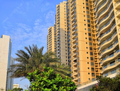 我市拟下月实施10项交管新举措