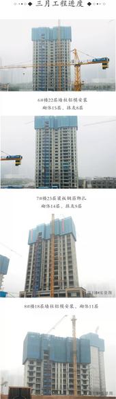 碧桂园·滨江府三月家书