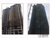 金科·天宸6月家书