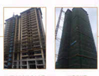 金科·天宸6月家书