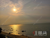 北海4月市场运行监测工作考核得分全区**