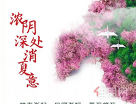 四季风景，入院以藏，美国城带你看遍四季花开