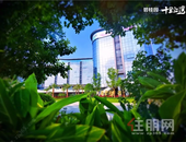 碧桂园·十里江湾六月家书