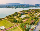 南宁难得一“寓”！解码热销红盘争当甩手掌柜