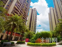 天和府邸金铺上市，预约1万抵3万！