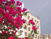 5月份二线城市地价涨幅明显收窄