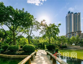 龙城美景从不让人失望，看完这里我心跳加速了