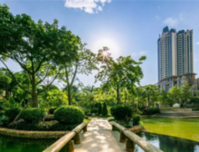 龙城美景从不让人失望，看完这里我心跳加速了