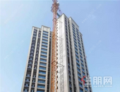 碧桂园城央首府六月家书|盛夏已至，家音如期