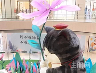 华南首展： 吾皇正式驾到，50万朵花瓣雨下见证吾皇启幕仪式！