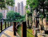 工程播报 | 仲夏家音，繁茂如期！见字如面，静待家成！