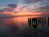 1-4月北海新签项目62个 计划投资755亿