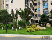 热点城市楼市回暖 房企5月销售额回升