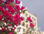 合浦至铁山港铁路项目调整