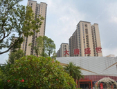 环湖观景四通八达，领略大唐盛世芳香万里