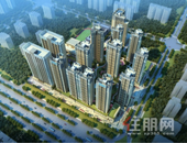 天健·和府新品开盘大捷，燃沸江南！