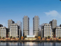 龙岗，你到底是靠什么「潜规则」，来出演这场年度大戏？