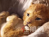 超大福利来啦！住朋网邀你免费看电影~还有豪华观影套餐！