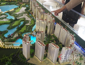 2019年1—6月份全国房地产开发投资和销售情况