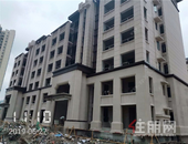 6月家书|盛启红星天铂美好家园