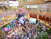 萌动全城！国民傲娇萌主吾皇驾到，亲探大型吸猫现场！