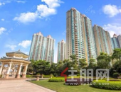 众明星主播推荐 "恒星计划"少儿才艺大赛等待你加入