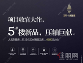 都说玉东新区贵？这个盘4980元/㎡起 收官之作压轴巨献