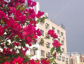 2019年6月份北海市保障性住房工作情况