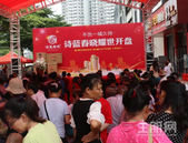 诗蓝春晓耀世首开 首付10万元起引爆南宁北楼市