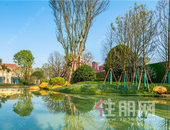 恒大珺睿府瞰湖新品即将加推 购房钜惠惊艳全城