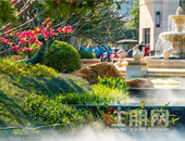 以伟大建筑之名 续写家族荣耀