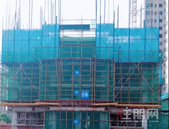 7月家书 | 半夏时光,美好渐入“家”境