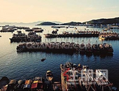 2019中国·北部湾开海节将于8月16日启幕