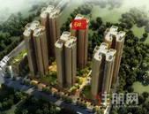 【荷城嘉园】丨持续热销！好房子会说话，置业三步曲！