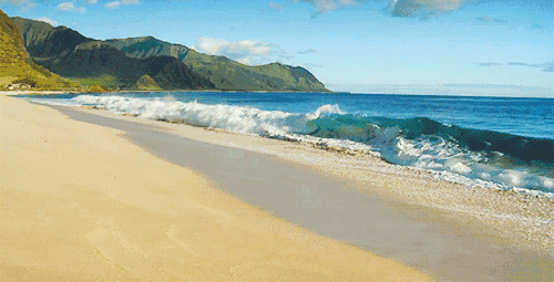 微信图片_20190724175738.gif