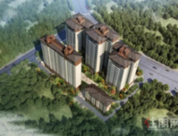 放风价1.5-1.7万/㎡! 蟠龙这个深藏已久的盘终于又开始供货了