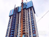 碧桂园·滨江府7月家书