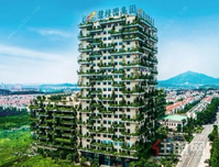 成为世界500强营收增幅最 大的房企，碧桂园是如何做到的？