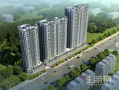 别人家的孩子告诉你，这些事情比成绩还重要