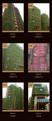 金科·天宸三月家书