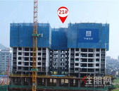 有个世界500强，在桂江路大兴土木，准备干一件大事...