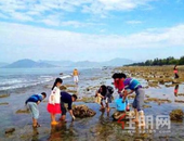 抓住暑期的尾巴，来御景湾畅玩滨海！