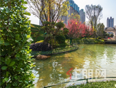 柳州这五个行业将被重点监控