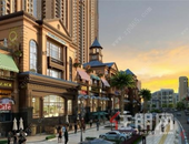 凤岭北核心区+10万㎡商业+5所学校, 这盘坐享城市资源"头等舱"